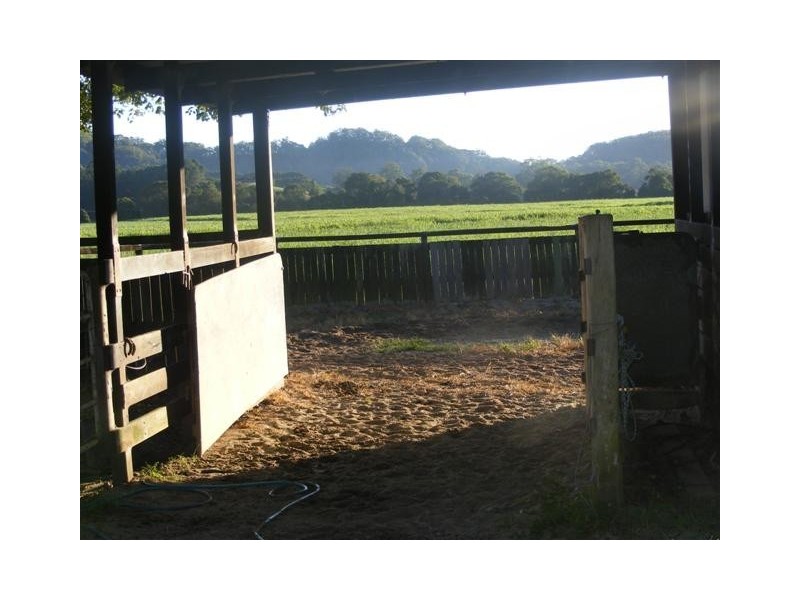 5824 Tweed Valley Way, Mooball NSW 2483