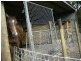 433 POTTSVILLE, Mooball NSW 2483