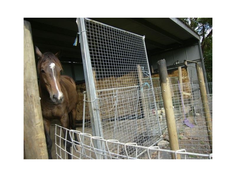 433 POTTSVILLE, Mooball NSW 2483