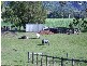 5824 TWEED VALLEY WAY, Mooball NSW 2483
