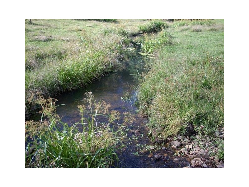 224 SLEEPY HOLLOW ROAD, Mooball NSW 2483