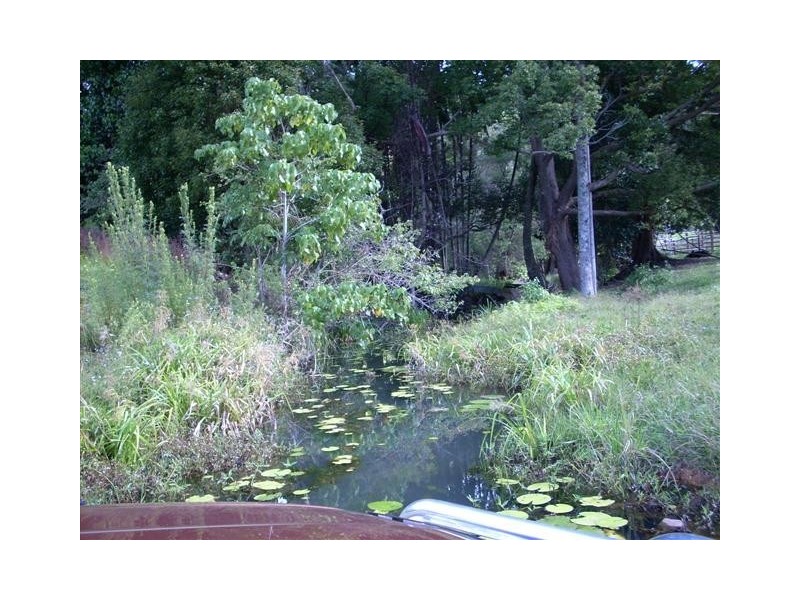 224 SLEEPY HOLLOW ROAD, Mooball NSW 2483