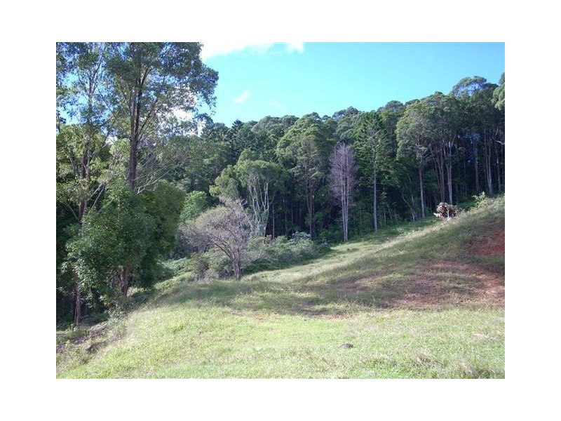 224 SLEEPY HOLLOW ROAD, Mooball NSW 2483
