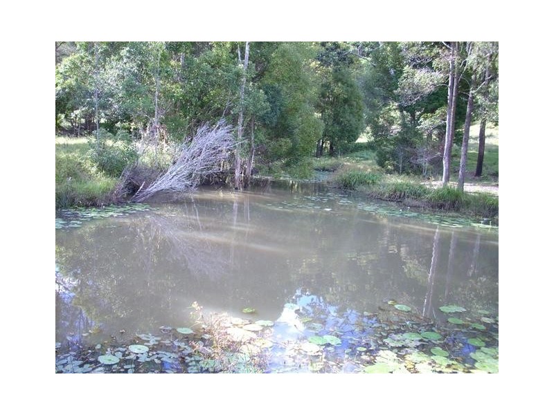 224 SLEEPY HOLLOW ROAD, Mooball NSW 2483