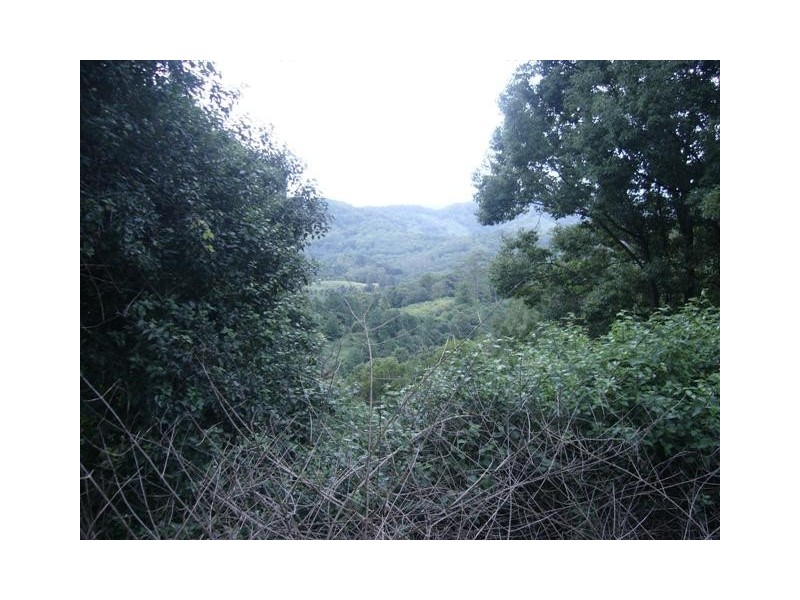 Lot8 Geles Road, Burringbar NSW 2483
