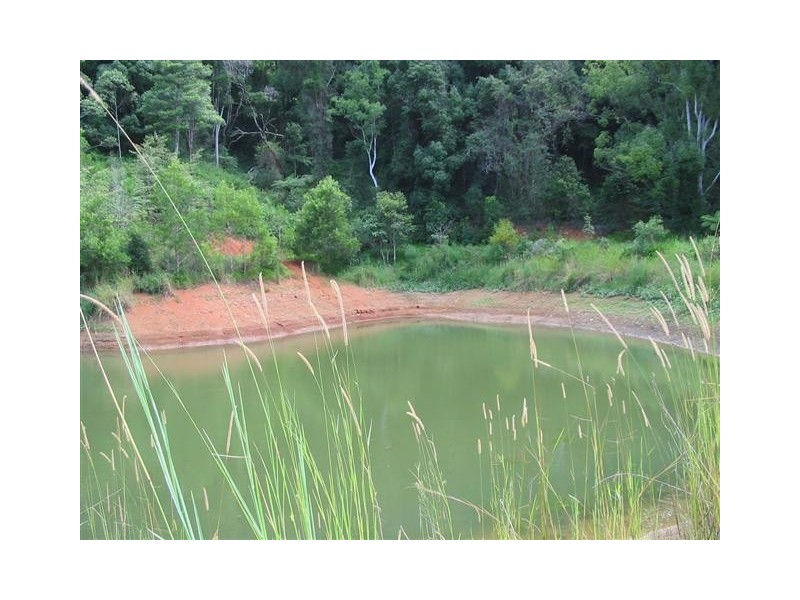 Lot8 Geles Road, Burringbar NSW 2483