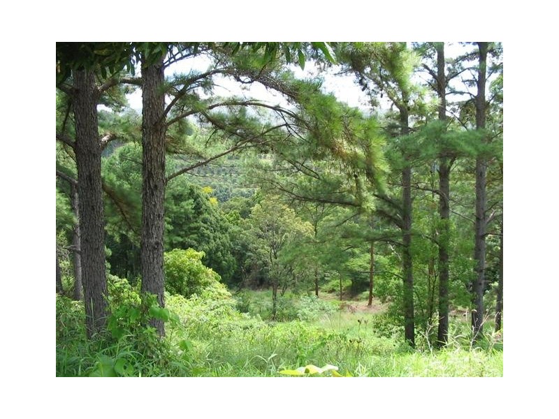 Lot8 Geles Road, Burringbar NSW 2483