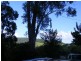 7 Crabbes Creek Road, Crabbes Creek NSW 2483