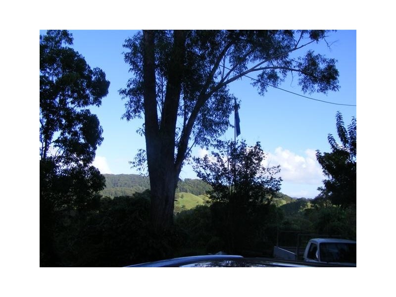 7 Crabbes Creek Road, Crabbes Creek NSW 2483