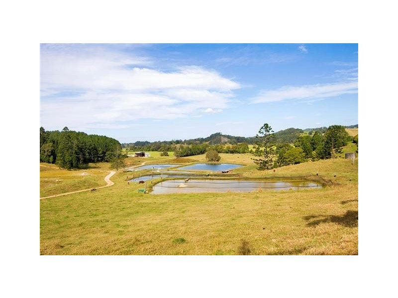 145-147 Pottsville Mooball Road, Mooball NSW 2483