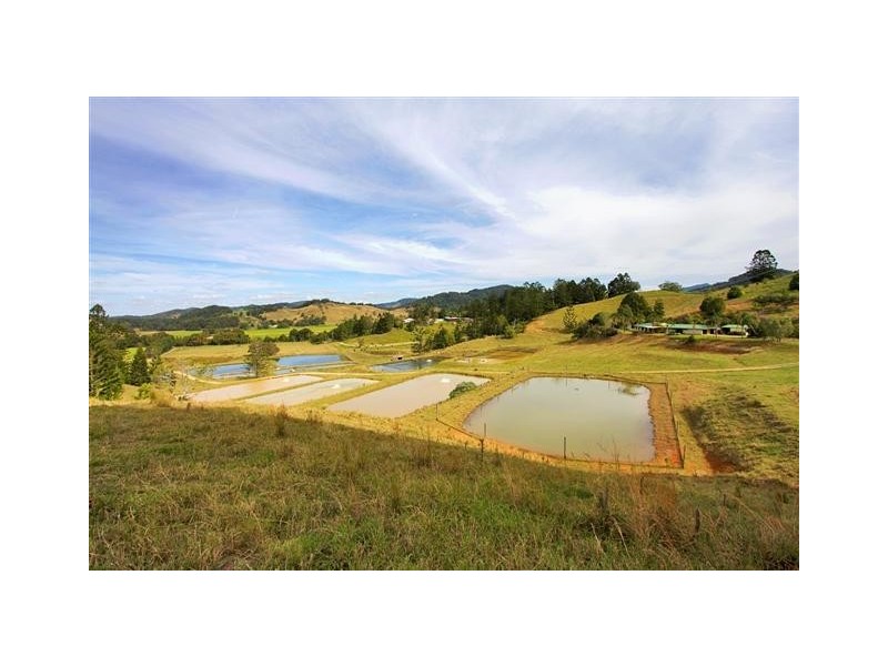 145-147 Pottsville Mooball Road, Mooball NSW 2483