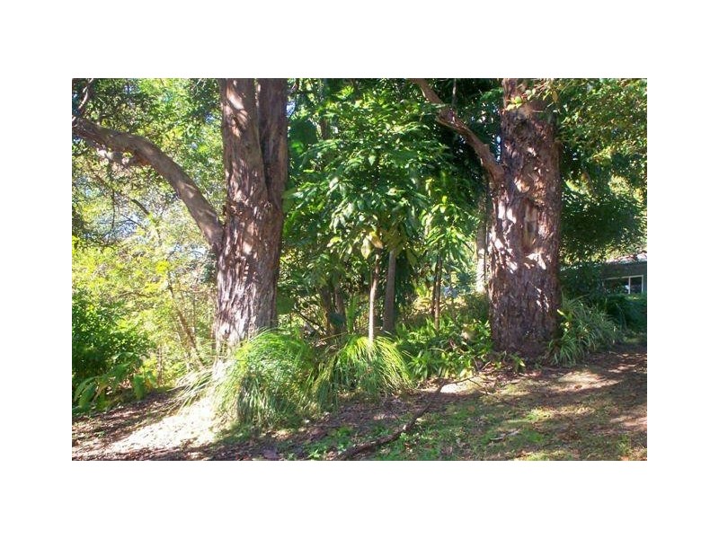 38 Summerhill Close, Stokers Siding NSW 2484