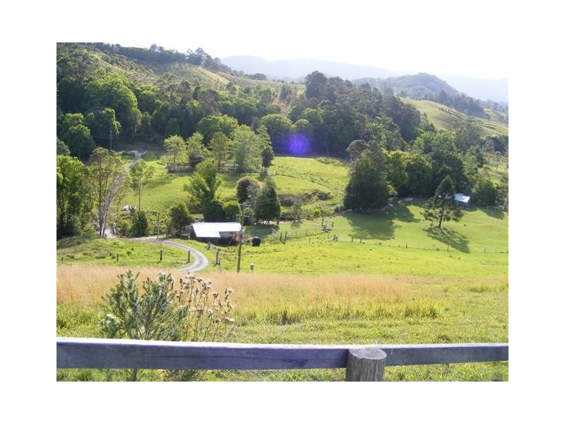 241 NOLANS ROAD, Stokers Siding NSW 2484