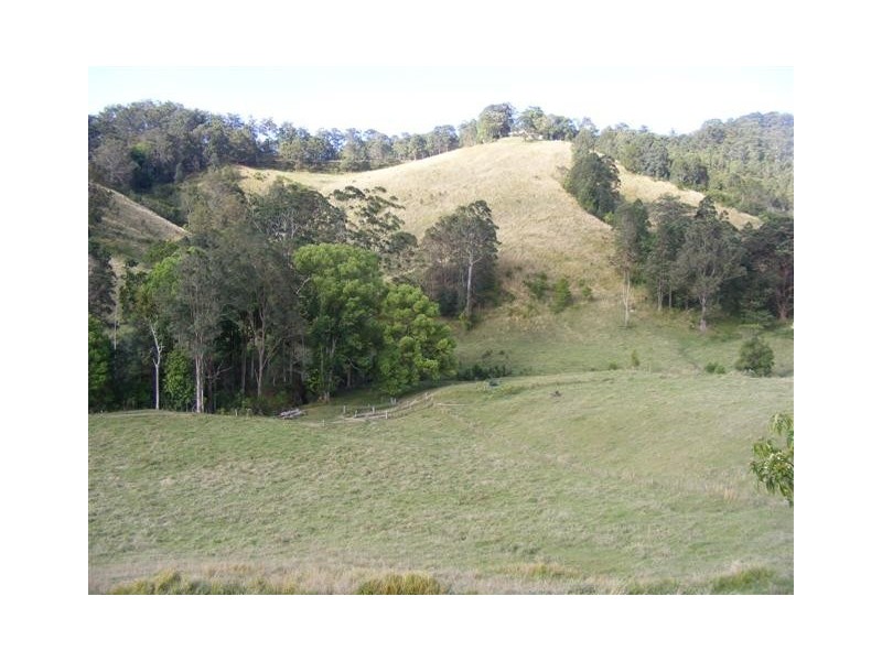 241 NOLANS ROAD, Stokers Siding NSW 2484