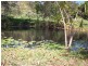 501 Round Mountain Road, Round Mountain NSW 2484