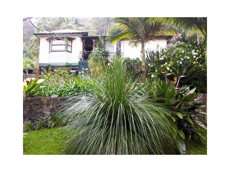 16 Station Street, Burringbar NSW 2483