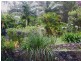 16 Station Street, Burringbar NSW 2483