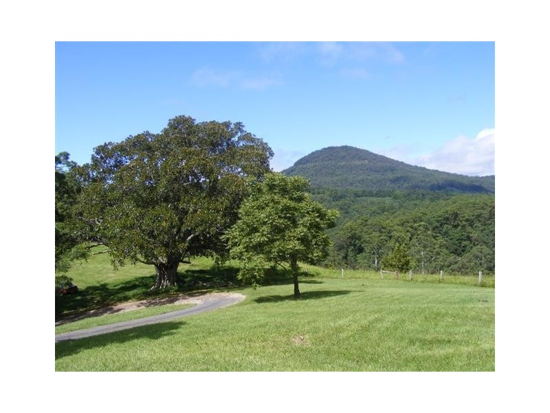 1904 Numinbah Road, Numinbah NSW 2484