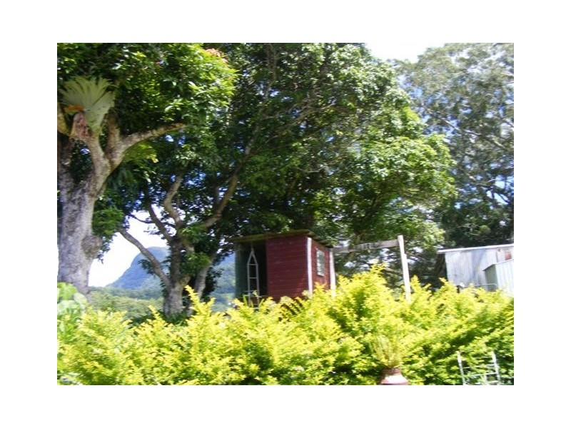 1904 Numinbah Road, Numinbah NSW 2484