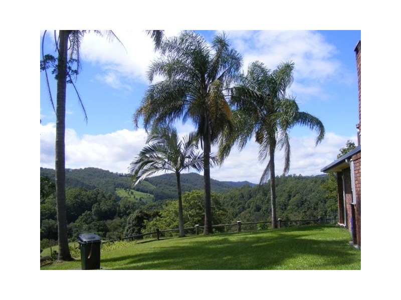 1904 Numinbah Road, Numinbah NSW 2484