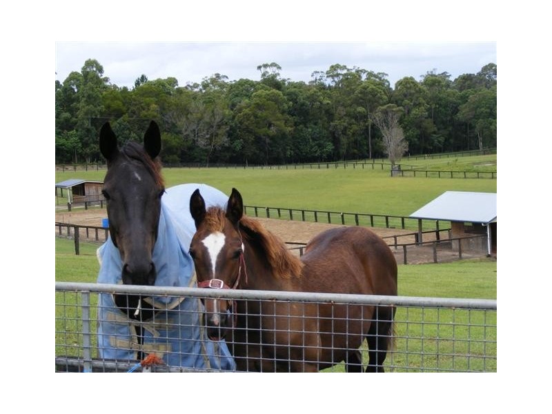 33 Baromi, Kynnumboon NSW 2484