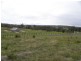 20 Guthega Lane, Moruya NSW 2537