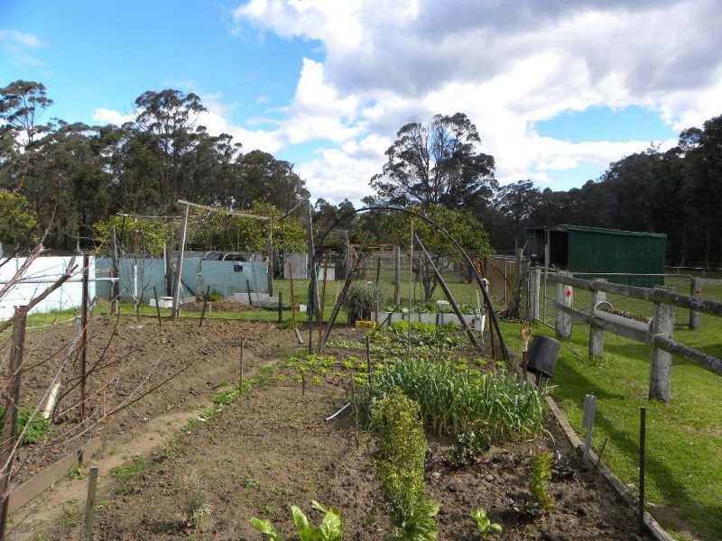 40 Jervis Bay Road, Falls Creek NSW 2540