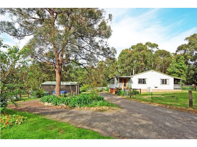 316b Pine Forest Rd, Tomerong NSW 2540