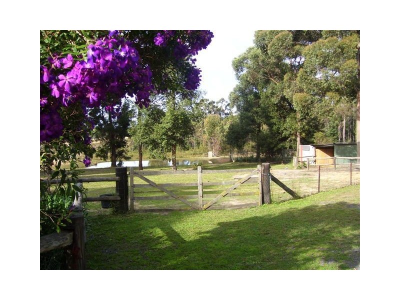 316b Pine Forest Rd, Tomerong NSW 2540