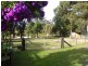 316b Pine Forest Road, Tomerong NSW 2540