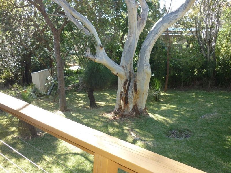 12 Rose Street, Hyams Beach NSW 2540