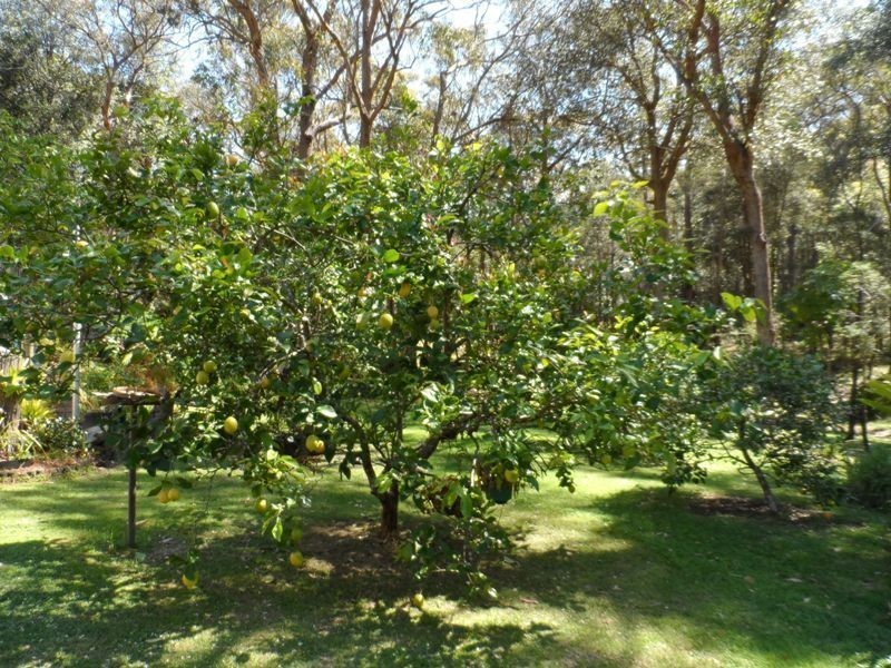 288 Woollamia Road, Woollamia NSW 2540