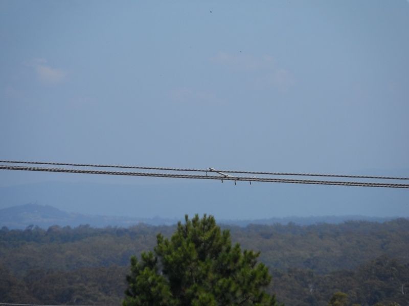 25 Niger Street, Vincentia NSW 2540