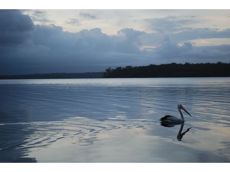 17 Island Point Road, St Georges Basin NSW 2540