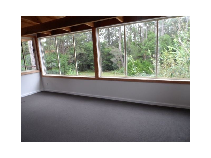 16 Watersedge Avenue, Basin View NSW 2540