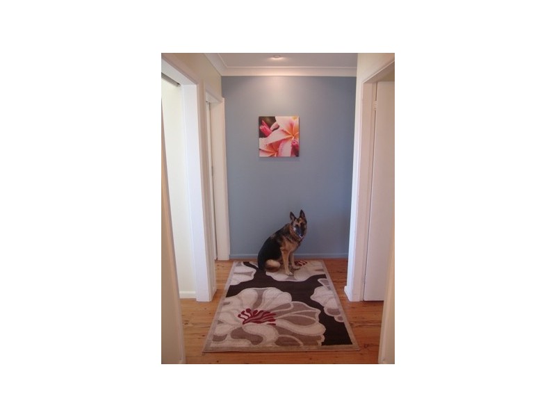 87 Elizabeth Drive, Vincentia NSW 2540