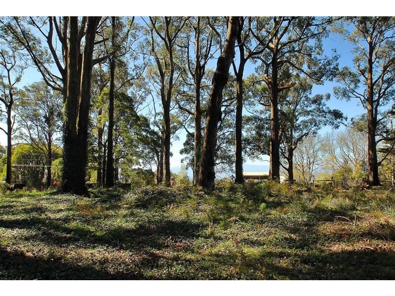 16 Ridge Road, Kallista VIC 3791