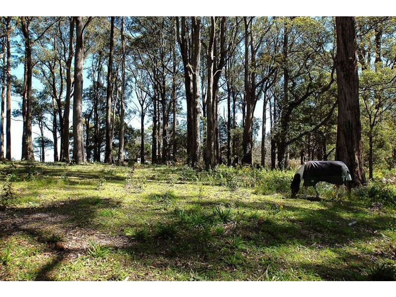 16 Ridge Road, Kallista VIC 3791