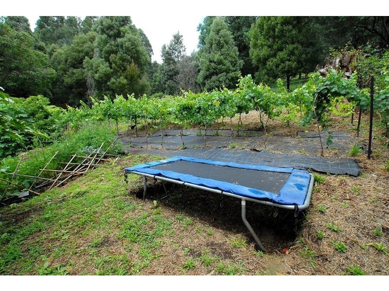 188 Monbulk Rd, Kallista VIC 3791