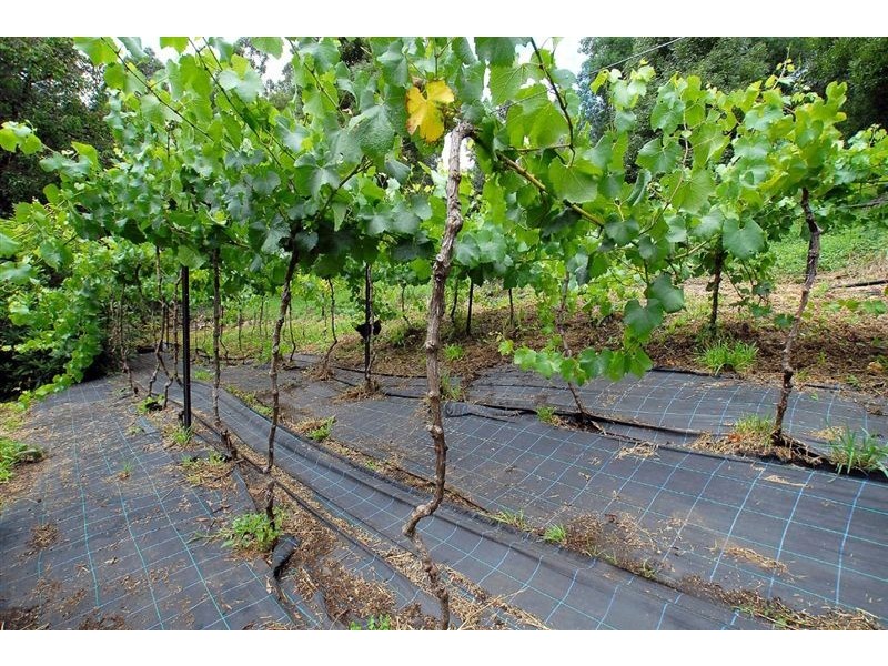 188 Monbulk Rd, Kallista VIC 3791