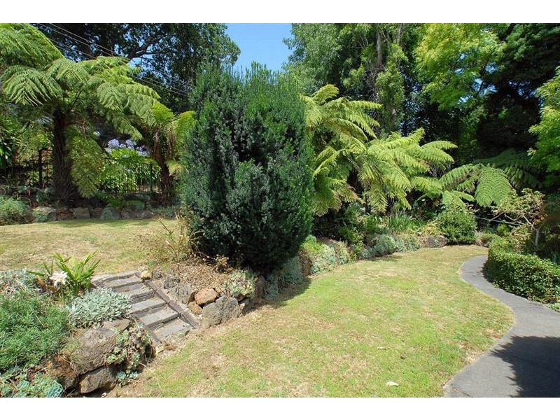 101 Monbulk Rd, Kallista VIC 3791