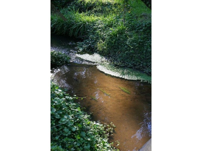 53 Park Drive, Belgrave VIC 3160