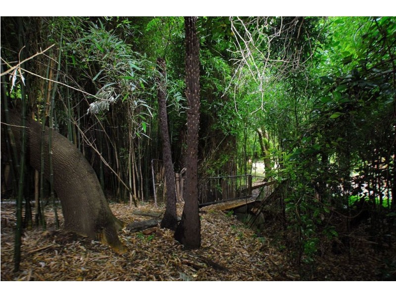 13 Myrtle Grove, Tecoma VIC 3160