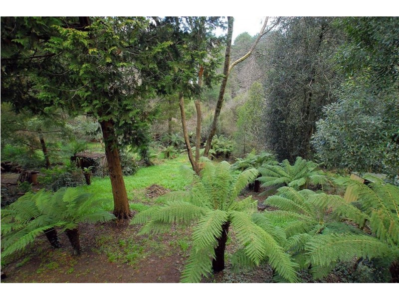 5 Wembley Road, Kallista VIC 3791