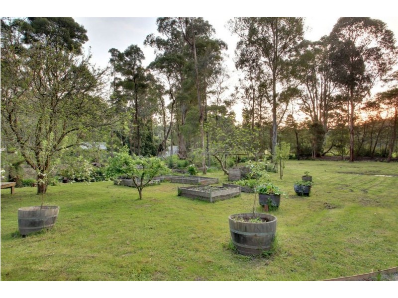 53 Park Drive, Belgrave VIC 3160