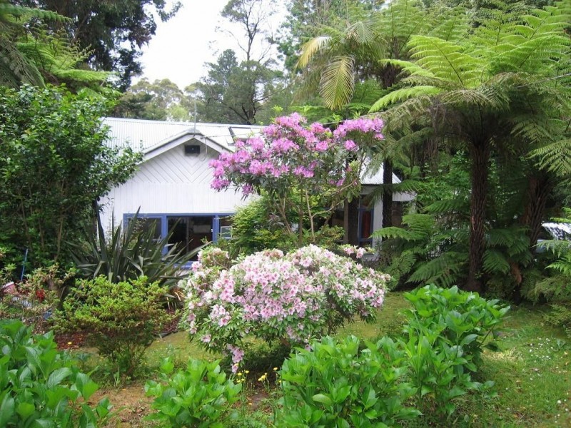 18 Blackwood Street, Tecoma VIC 3160