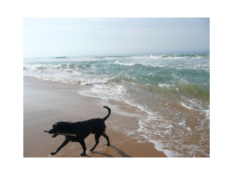 Lot2,4,6,7/13-25 Ellen Avenue, Seaspray VIC 3851