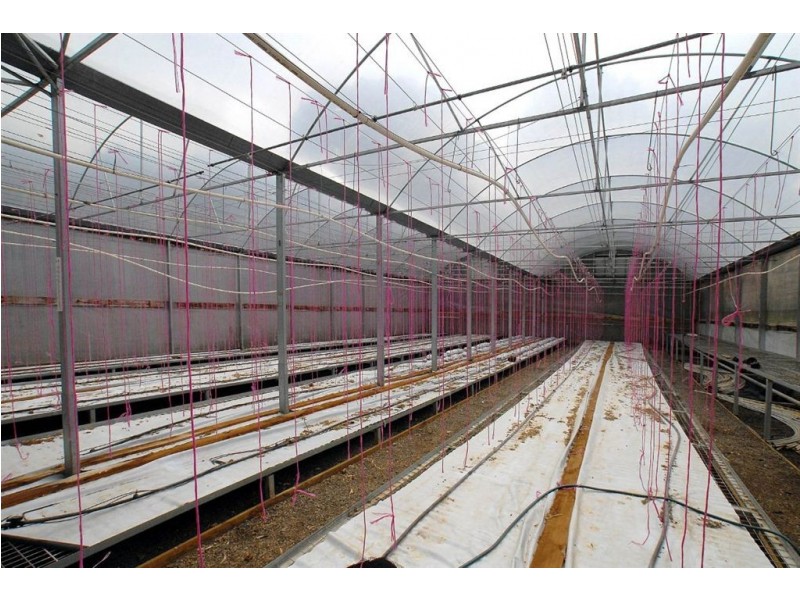 17-19 Vika Ave, Monbulk VIC 3793