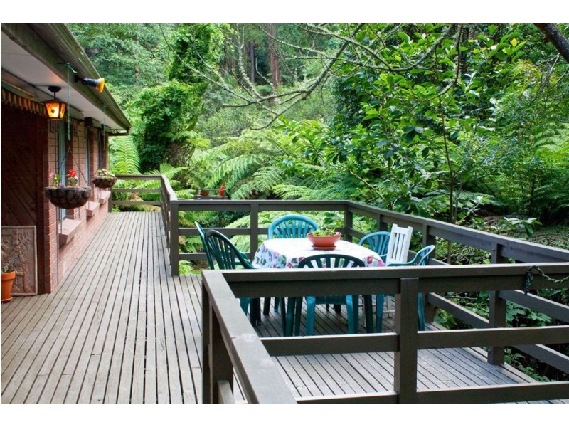 49 Spencer Road, Olinda VIC 3788