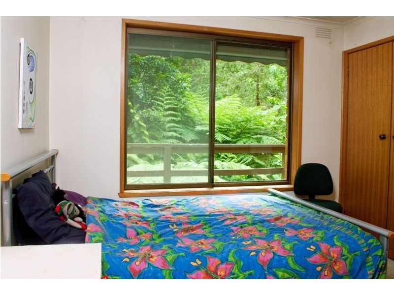 49 Spencer Road, Olinda VIC 3788